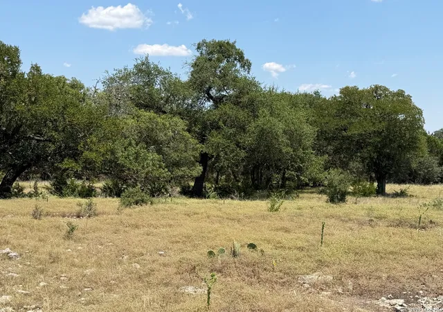 5th image of 207 Rio Cordillera, Boerne, TX 78006 | MLS# 2009120
