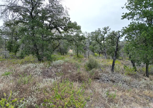 Photo 1 of Land for sale at 209 Timber Pl, La Vernia, TX 78121 | MLS# 2009235 | Listing updated on 2026-08-19
