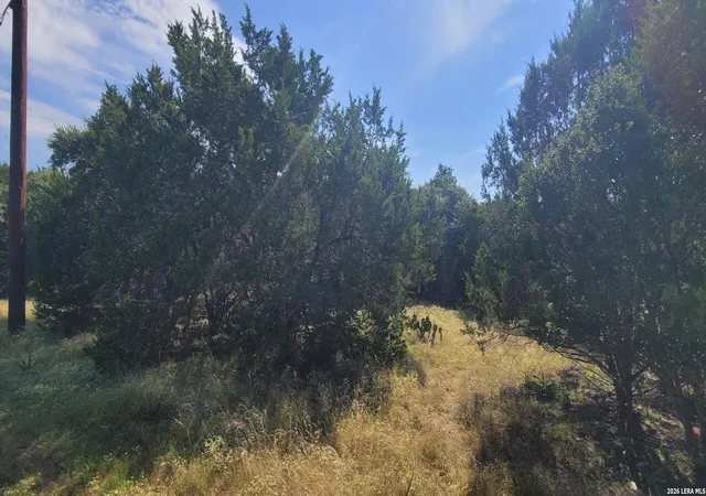 2nd image of 5190 Spring Branch, Spring Branch, TX 78070 | MLS# 2009263