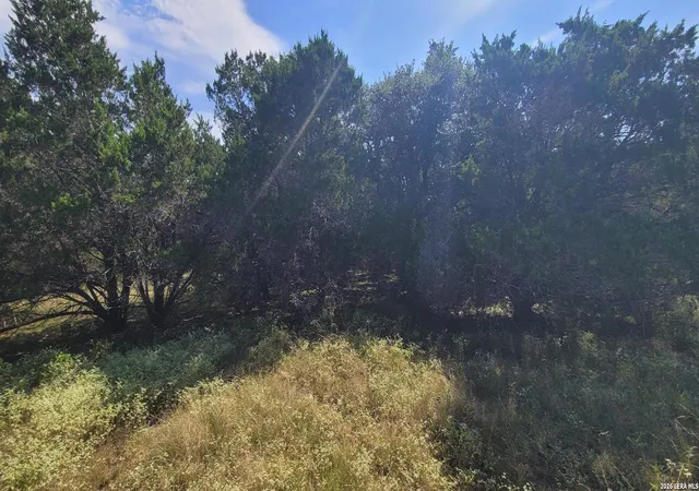 3rd image of 5190 Spring Branch, Spring Branch, TX 78070 | MLS# 2009263