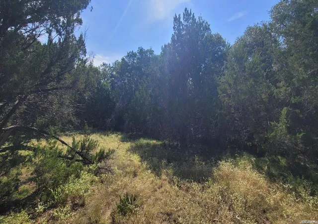 4th image of 5190 Spring Branch, Spring Branch, TX 78070 | MLS# 2009263