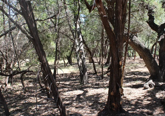 12th image of 0 Colleen, Canyon Lake, TX 78133 | MLS# 2009440