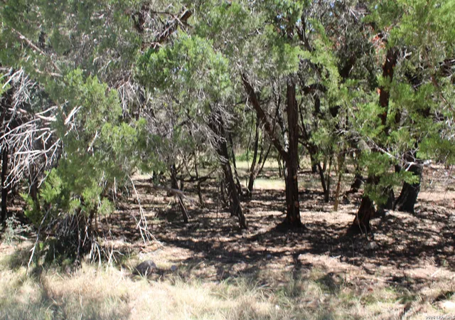 4th image of 0 Colleen, Canyon Lake, TX 78133 | MLS# 2009440