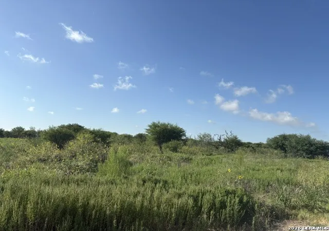 5th image of 129 Persimmon Trail, Marion, TX 78124 | MLS# 2009557