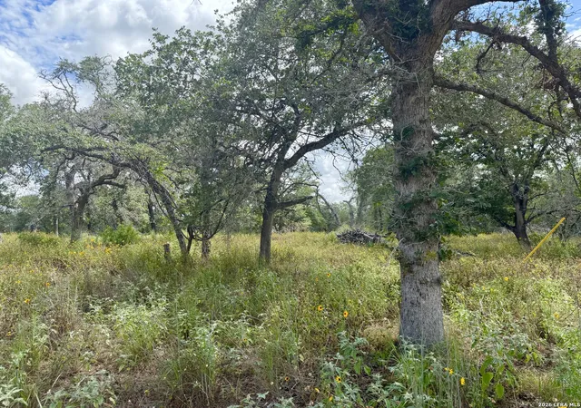 4th image of 1277 Morning Glory, Adkins, TX 78121 | MLS# 2009610
