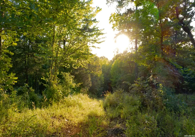 Photo 2 of Land for sale at 0 Private Road 5150, Palestine, TX 75801 | MLS# 2009665 | Listing updated on 2026-08-29