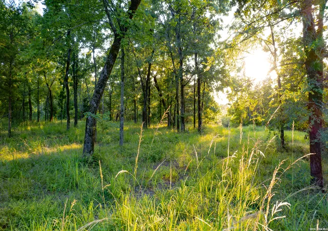Photo 3 of Land for sale at 0 Private Road 5150, Palestine, TX 75801 | MLS# 2009665 | Listing updated on 2026-08-29