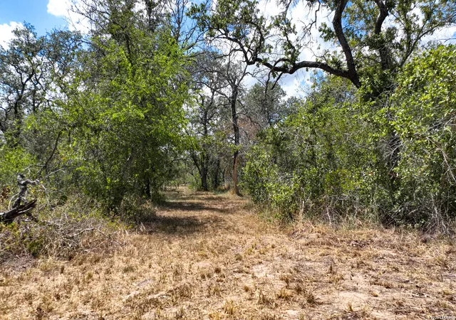 20th image of 20 Clear Lake Loop, Poteet, TX 78065 | MLS# 2009886