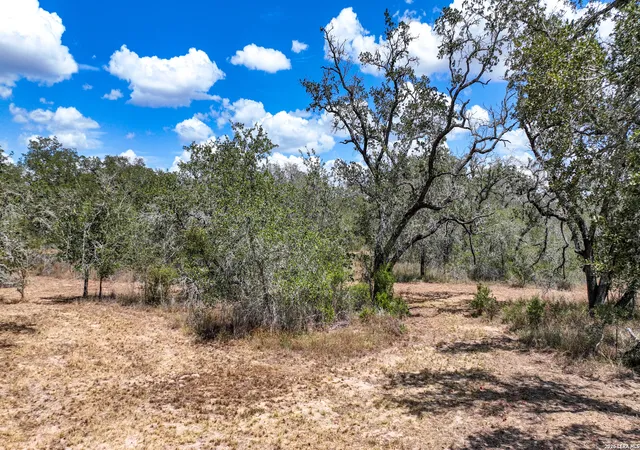5th image of 20 Clear Lake Loop, Poteet, TX 78065 | MLS# 2009886