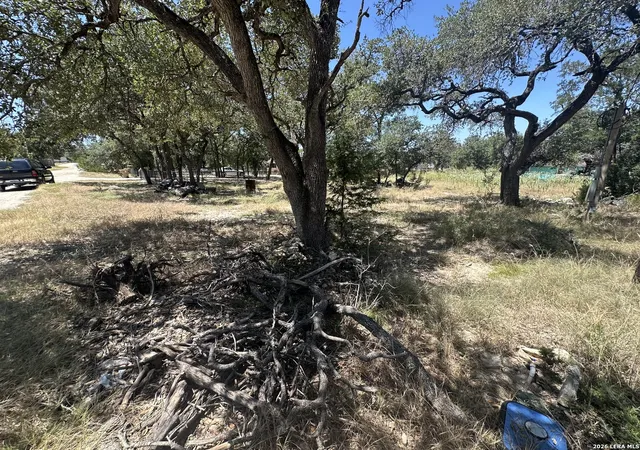 8th image of 2855 Western Skies Dr, Spring Branch, TX 78070 | MLS# 2009997