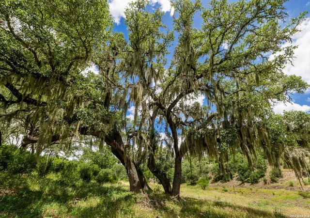 1st image of 0007 Hidden Springs Ranch, Spring Branch, TX 78070 | MLS# 2010107