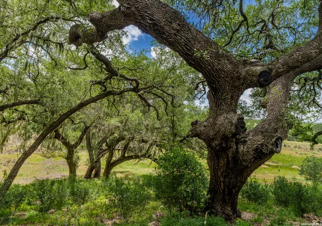 2nd image of 0007 Hidden Springs Ranch, Spring Branch, TX 78070 | MLS# 2010107