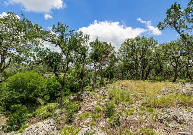3rd image of 0007 Hidden Springs Ranch, Spring Branch, TX 78070 | MLS# 2010107