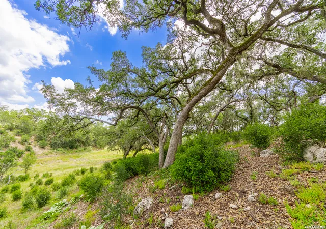 4th image of 0007 Hidden Springs Ranch, Spring Branch, TX 78070 | MLS# 2010107