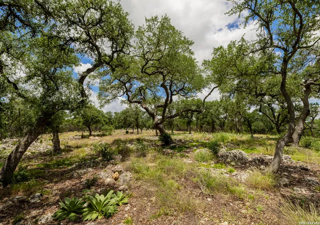 44th image of 0007 Hidden Springs Ranch, Spring Branch, TX 78070 | MLS# 2010107