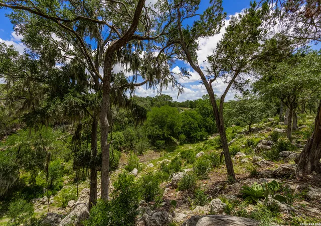 5th image of 0007 Hidden Springs Ranch, Spring Branch, TX 78070 | MLS# 2010107