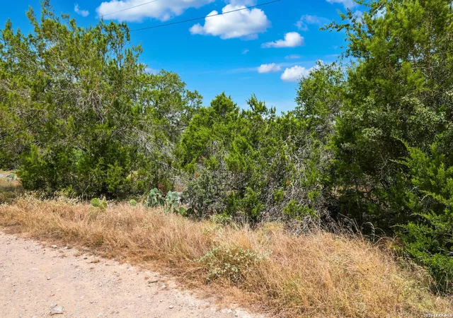 20th image of Tbd Rebecca Creek Park Third Filing, Lot 6, Spring Branch, TX 78070 | MLS# 2010185