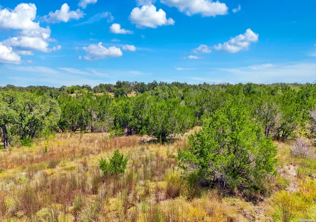 19th image of 775 Tiswin Trl, Blanco, TX 78606 | MLS# 2010219