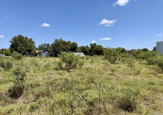 12th image of 0 Fm 1796 & Cr 429, D'hanis, TX 78850 | MLS# 2010352