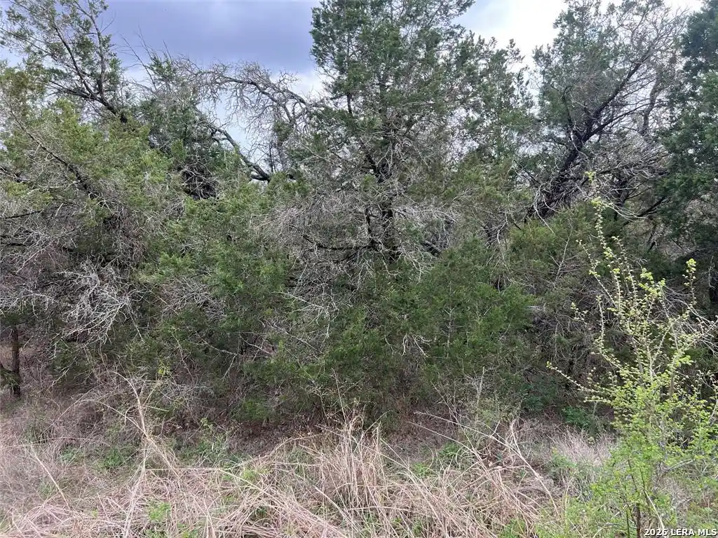 Photo 1 of Land for sale at 800 Fox, San Marcos, TX 78666 | MLS# 2018719 | Listing updated on 2026-10-04