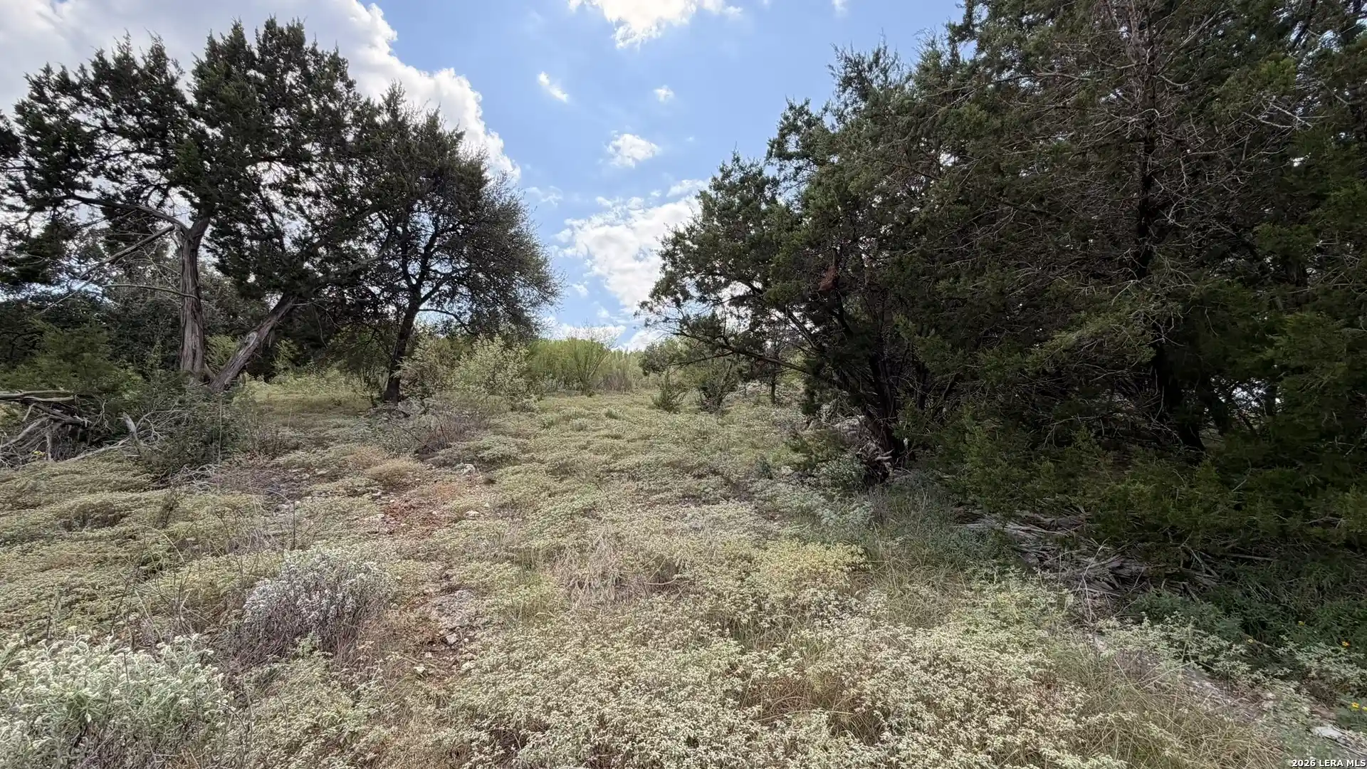Land for sale at 234 Longwood, New Braunfels, TX 78132 | MLS# 2025350