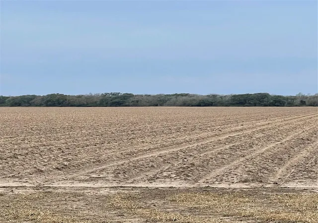 5th image of 0 Cr 385, El Campo, TX 77437 | MLS# 41700828