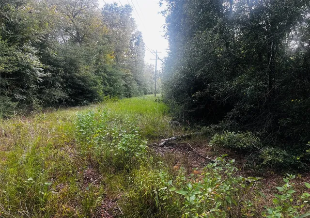 Photo 2 of Land for sale at County Rd 139 139, Leona, TX 75850 | MLS# 92461006 | Listing updated on 2026-08-24