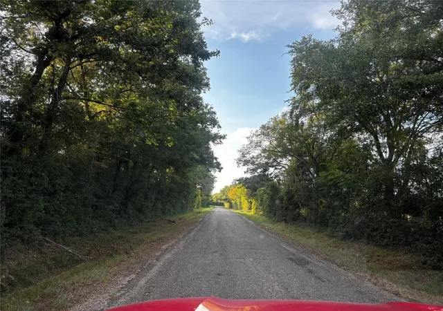 Photo 3 of Land for sale at County Rd 139 139, Leona, TX 75850 | MLS# 92461006 | Listing updated on 2026-08-24