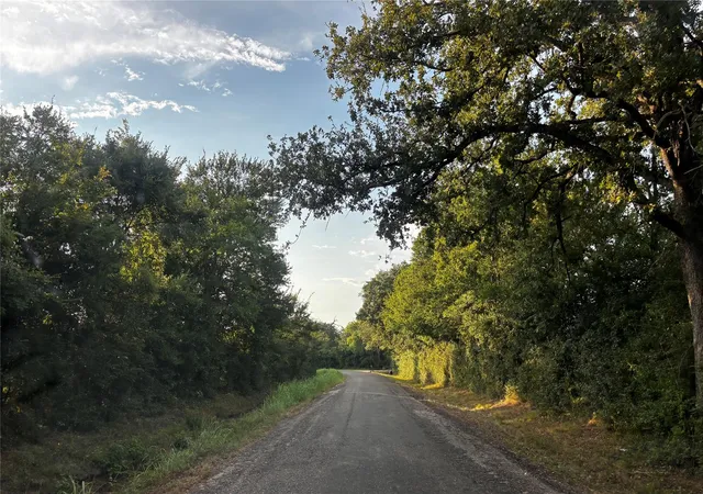 Photo 4 of Land for sale at County Rd 139 139, Leona, TX 75850 | MLS# 92461006 | Listing updated on 2026-08-24