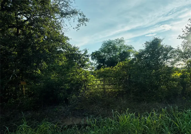 8th image of County Rd 139 139, Leona, TX 75850 | MLS# 92461006