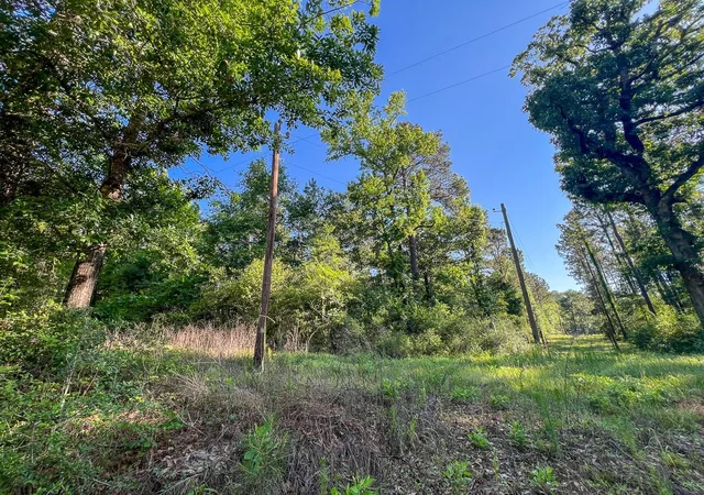 Homes for sale in Groveton, TX | T 8 Fountain Creek Road, Groveton, TX 75845 | MLS# 21030160