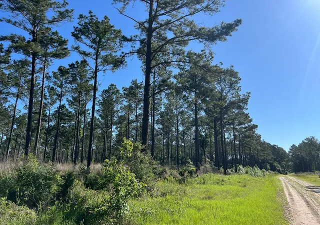 Homes for sale in Groveton, TX | T 8 Fountain Creek Road, Groveton, TX 75845 | MLS# 21030160