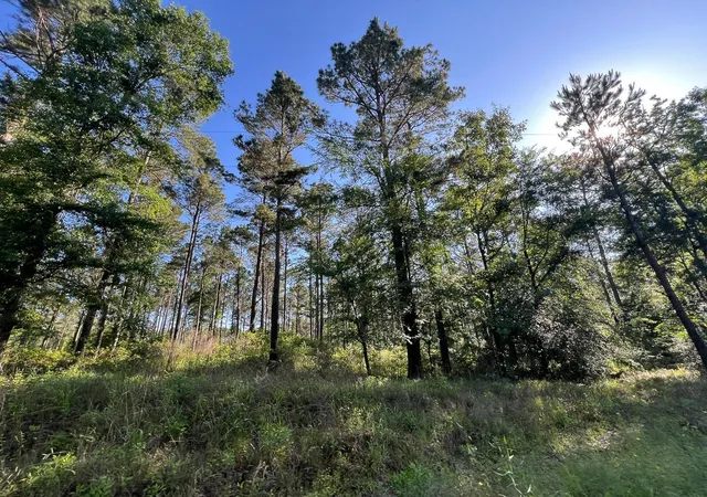 Homes for sale in Groveton, TX | T-8 Fountain Creek Road, Groveton, TX 75845 | MLS# 21030160