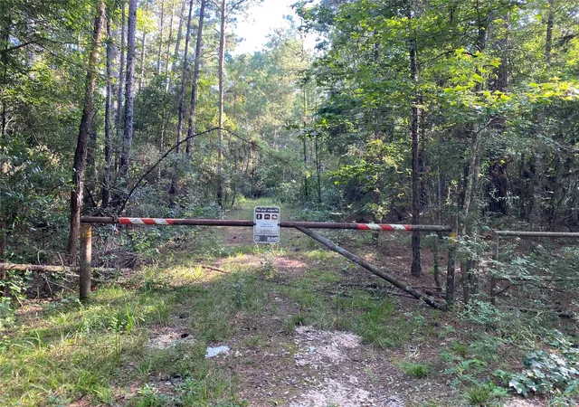 Photo 3 of Land for sale at 0 Off Fm 1725, Cleveland, TX 77328 | MLS# 65303336 | Listing updated on 2026-08-02