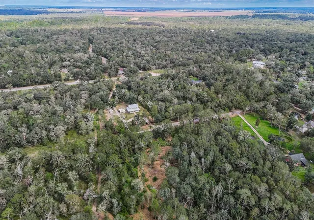 Photo 2 of Land for sale at 0 Live Oak St, Damon, TX 77430 | MLS# 18865633 | Listing updated on 2026-09-22