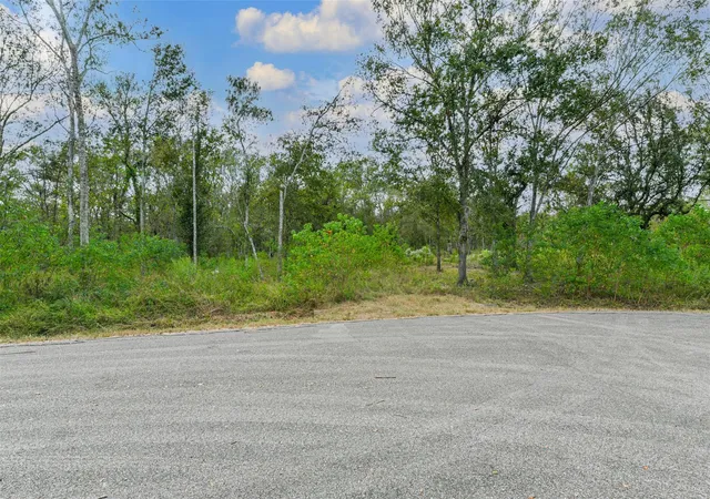 Photo 3 of Land for sale at 0 Live Oak St, Damon, TX 77430 | MLS# 18865633 | Listing updated on 2026-09-22