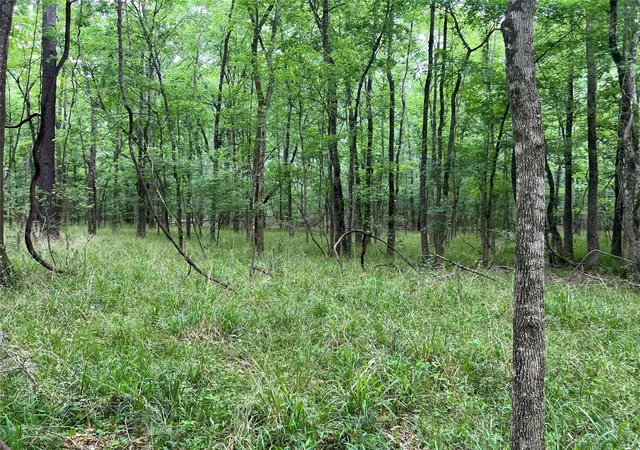 16th image of 00 Wilderness Rd, Pointblank, TX 77364 | MLS# 12376051