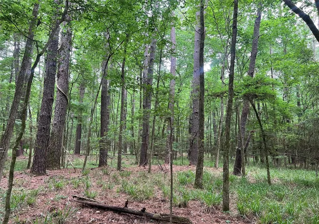 1st image of 00 Wilderness Rd, Pointblank, TX 77364 | MLS# 12376051