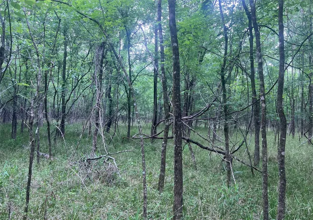 3rd image of 00 Wilderness Rd, Pointblank, TX 77364 | MLS# 12376051
