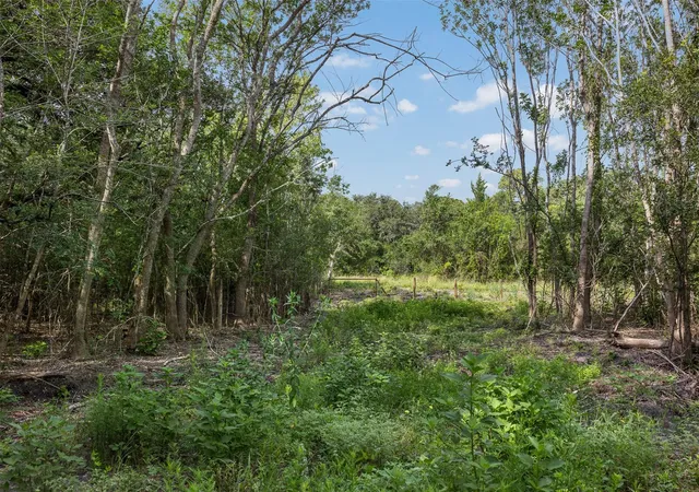 Homes for sale in Round Top, TX | 000 Schuster Rd, Round Top, TX 78954 | MLS# 45046521