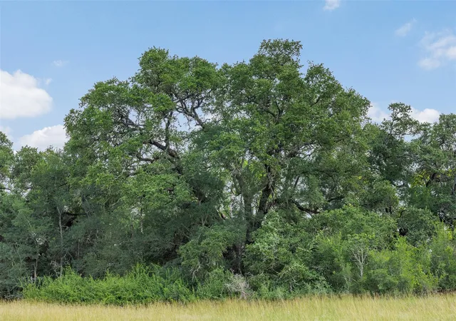 Homes for sale in Round Top, TX | 000 Schuster Rd, Round Top, TX 78954 | MLS# 45046521