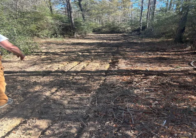 Photo 2 of Land for sale at 0 Whitmire Rd, Trinity, TX 75862 | MLS# 60795211 | Listing updated on 2026-03-31