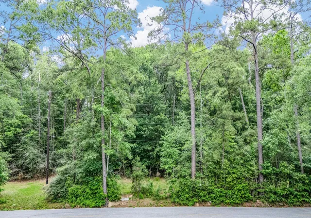 6th image of 0 Hargraves Rd, Huffman, TX 77336 | MLS# 73297268
