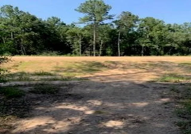 5th image of 30227 Oak Ln, Magnolia, TX 77354 | MLS# 23763317