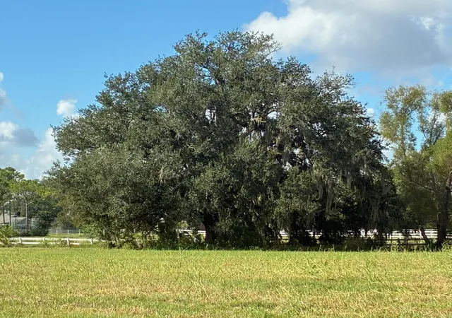 Photo 2 of Land for sale at 2934 Horse Trl Dr, Rosharon, TX 77583 | MLS# 10863933 | Listing updated on 2026-07-21