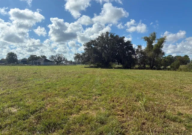 Photo 4 of Land for sale at 2934 Horse Trl Dr, Rosharon, TX 77583 | MLS# 10863933 | Listing updated on 2026-07-21