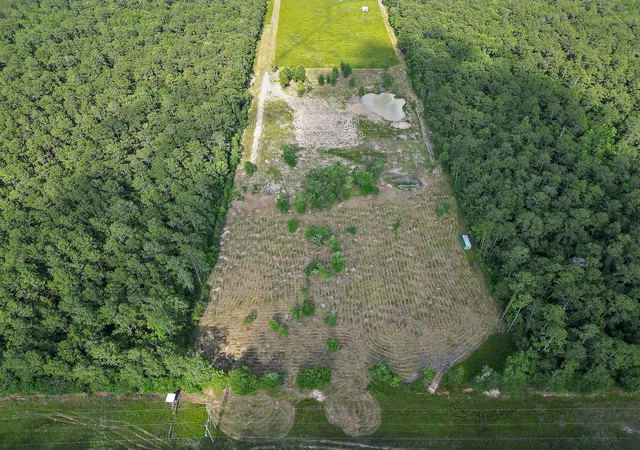 11th image of Tbd Labrador Ln, Wallisville, TX 77597 | MLS# 43189555