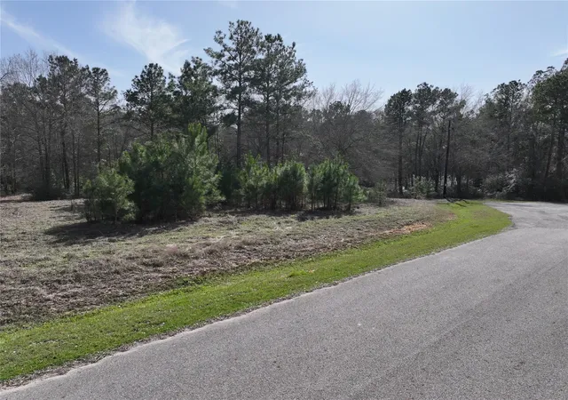 14th image of 0 Steeplechase Parkway, Waller, TX 77484 | MLS# 58991295