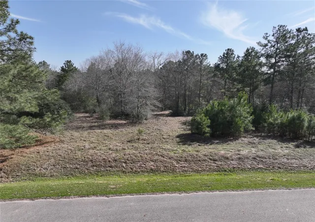 2nd image of 0 Steeplechase Parkway, Waller, TX 77484 | MLS# 58991295
