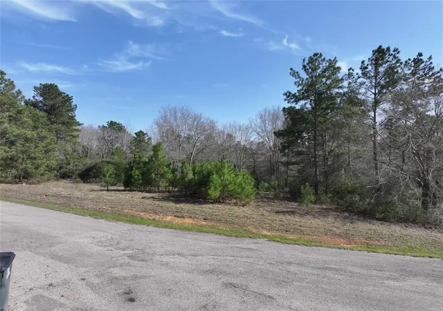 4th image of 0 Steeplechase Parkway, Waller, TX 77484 | MLS# 58991295